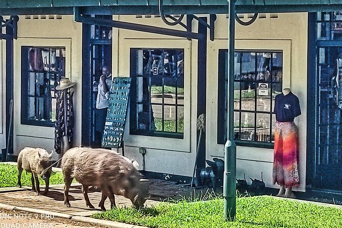 Victoria Falls Walking Tour With 3 Options - How to Book