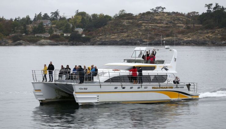 Victoria: Guided Whale and Wildlife-Watching Cruise - Activity Details