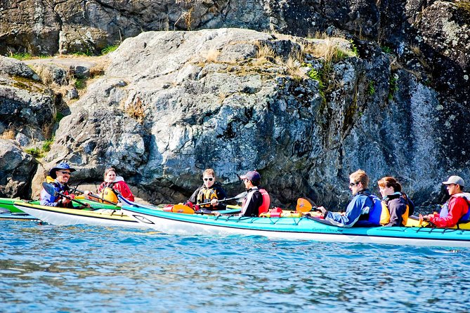 Victoria Harbour Kayak Tour - Additional Info