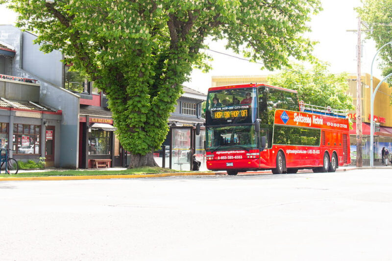 Victoria: Hop-On-Hop-Off Sightseeing Bus Tour - Good To Know