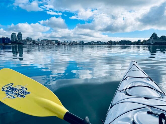 Victoria: Kayak Harbour Tour - Accessibility and Accommodations