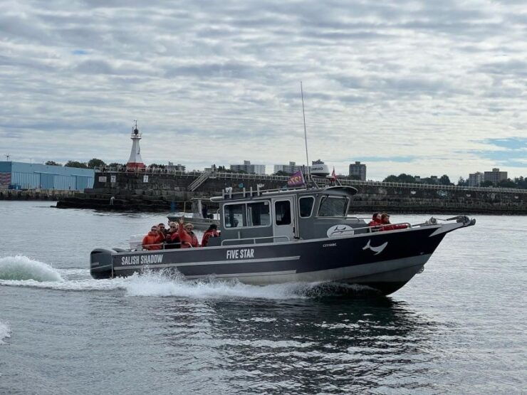 Victoria: Marine Wildlife & Whale Watch Tour - Experience Itinerary