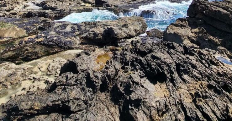 Victoria: Old Growth Rainforest Canyon Waterfall and Beaches - Pricing and Inclusions