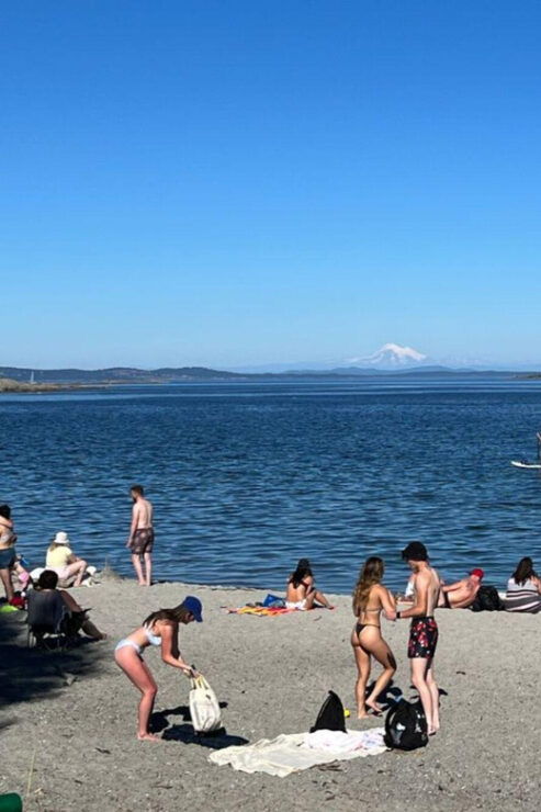 Victoria: Paddle Board Tour at Willows Beach - Experience Highlights