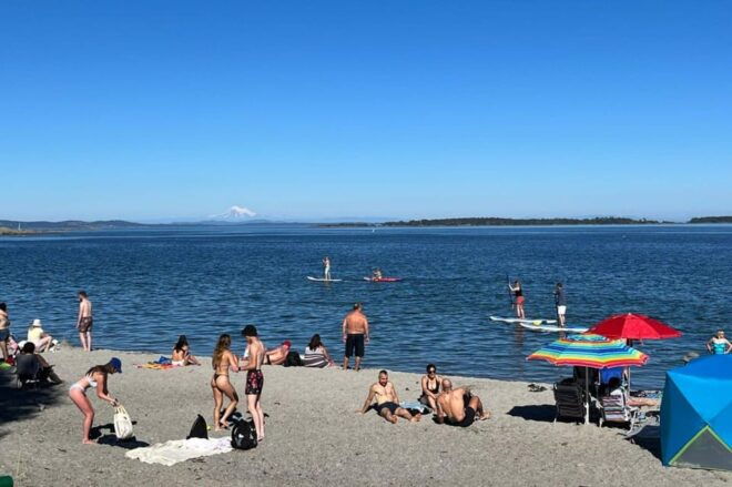 Victoria: Paddle Board Tour at Willows Beach - Paddle Along the Coast