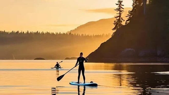 Victoria: Paddle Board Tour at Willows Beach - Spot Marine Wildlife