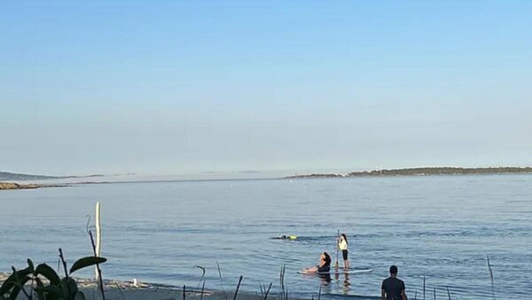 Victoria: Paddle Board Tour at Willows Beach - View Landmarks