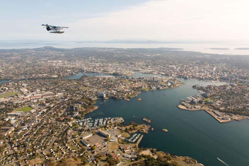 Victoria: Panorama Scenic Seaplane Tour - The Sum Up: Is It Worth It?