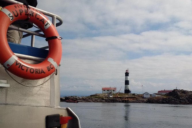 Victoria Shore Excursion: Whale-Watching Cruise With Expert Naturalist Guides - Experience an Exciting and Educational Voyage