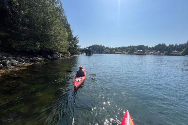 Victoria: Single Sea Kayak Rental - Good To Know
