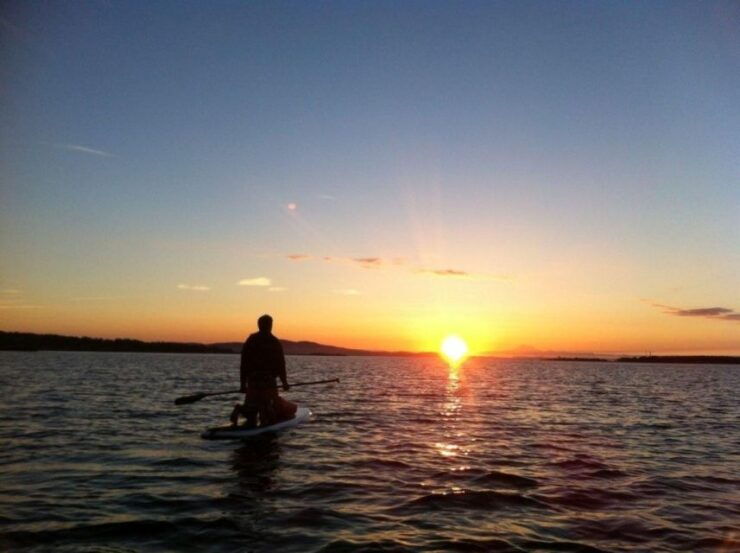 Victoria: Sunrise or Sunset SUP Tour - Booking and Reservation Details