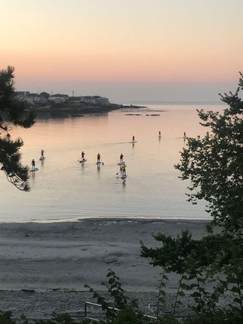 Victoria: Sunrise or Sunset SUP Tour - Activity Duration and Guides