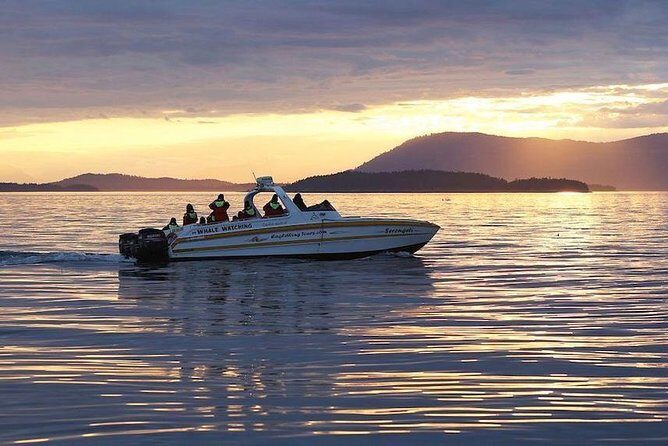 Victoria Sunset Whale-Watching Cruise - Practical Tips for Your Trip
