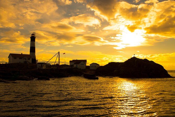 Victoria Sunset Whale-Watching Cruise - FAQ