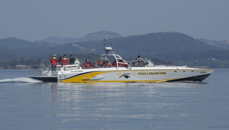Victoria: Sunset Whale Watching Tour on an Open Scarab Boat - Tour Location and ID