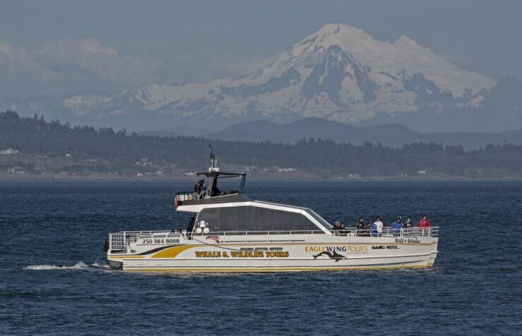 Victoria: Sunset Whale Watching Tour on Semi-Covered Boat - Booking Information