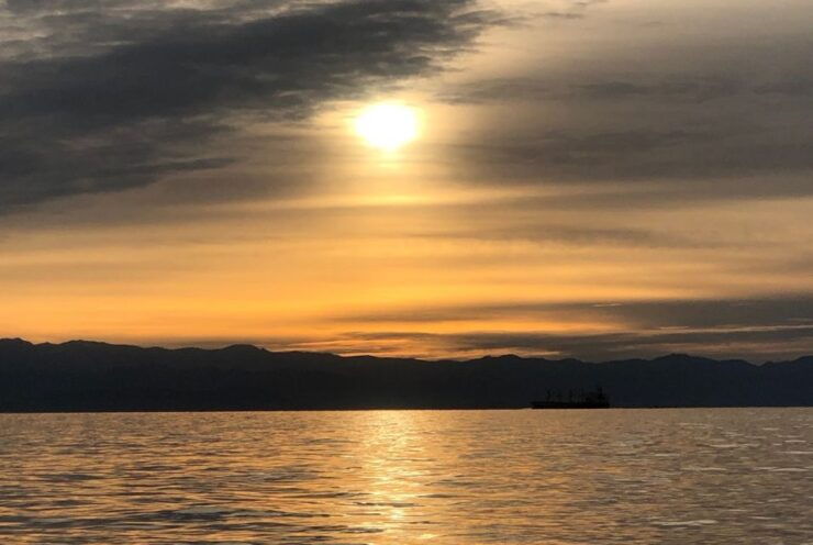 Victoria: Sunset Whale Watching Tour - Booking Information