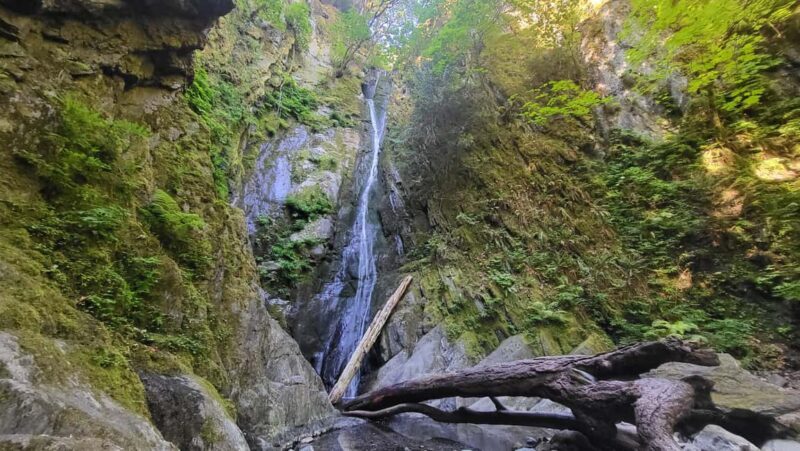 Victoria Waterfall, Skywalk, Beach Picnic, Castle and Whales - The Experience: Pros and Cons