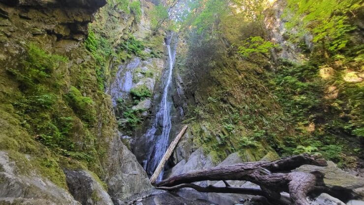 Victoria Waterfall, Skywalk, Trestle, Castle and Whales - Itinerary and Highlights