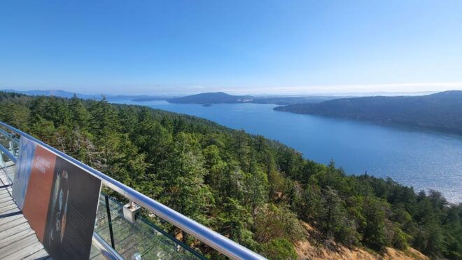 Victoria Waterfall, Skywalk, Trestle, Castle and Whales - Guided Experience