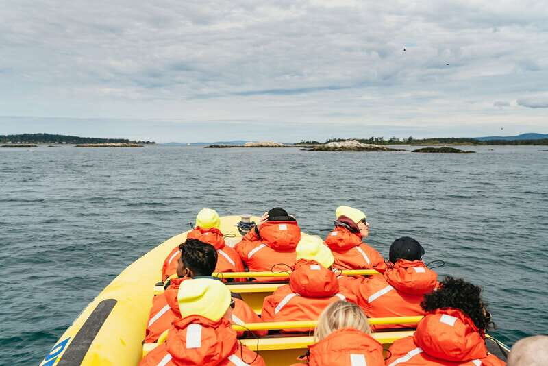 Victoria: Whale Watching Adventure in a Zodiac Boat - The Itinerary: What to Expect from Start to Finish