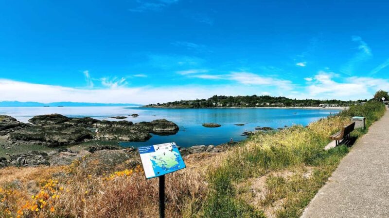 Victorias Butchart Gardens & City Highlights Private Tour - Seasonal Considerations