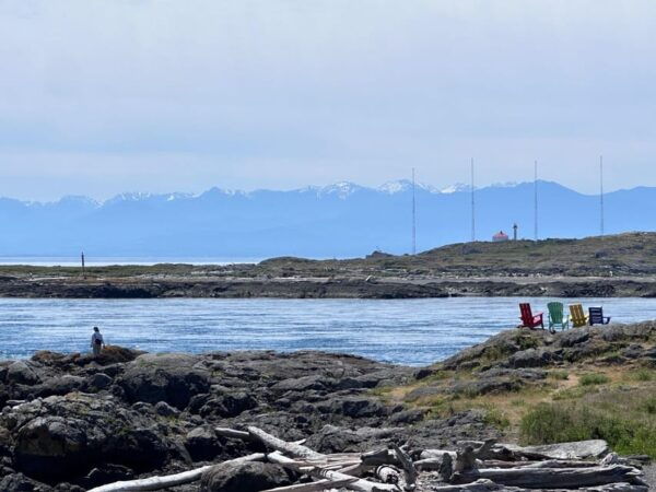 Victoria's Express City Highlights Private Tour Excursion - Suitability and Accessibility