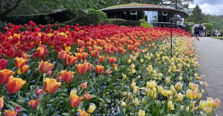 Victoria's Garden Lover's Tour - Itinerary and Highlights