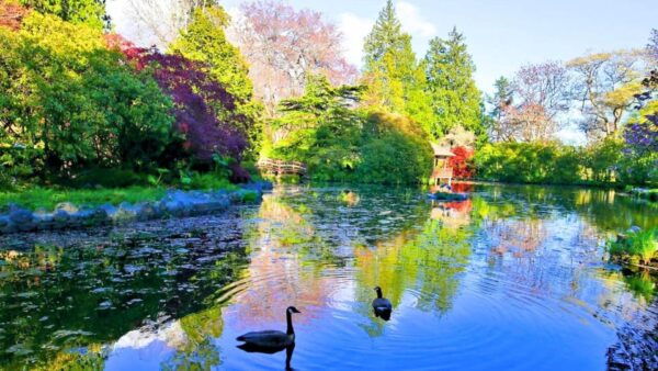 Victoria's Garden Lover's Tour - Explore Government House Gardens