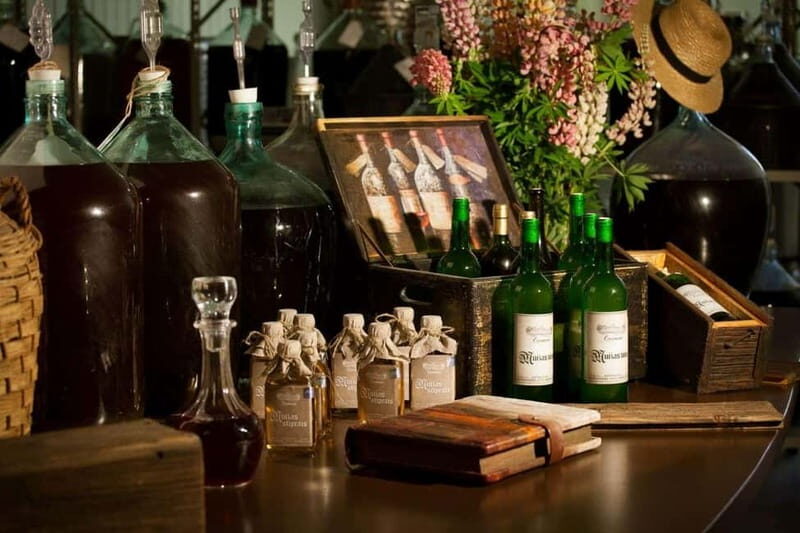 Vidzeme wine tasting tour - The Start: Pickup in Riga & Journey into Vidzeme  