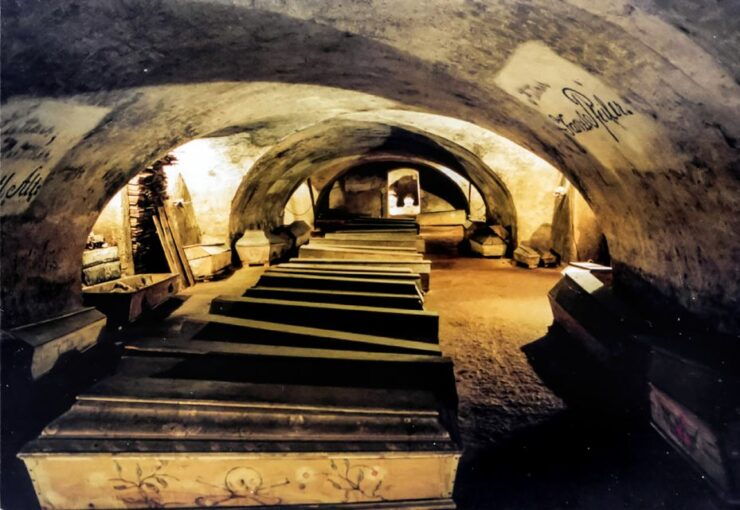 Vienna: 1.5-Hour Underground Walking Tour - Tour Highlights