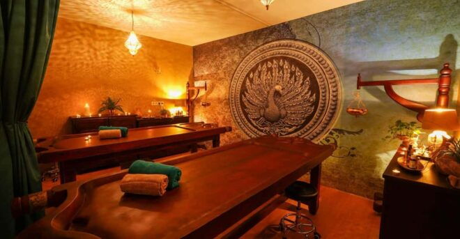 Vienna: 1-Day Ayurveda Retreat in Slovakia With Lunch & Tour - Wellness and Relaxation