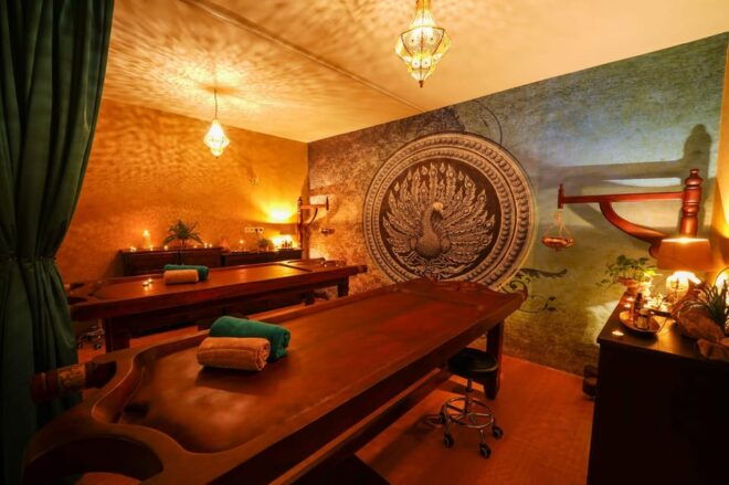 Vienna: 1-Day Ayurveda Retreat in Slovakia With Lunch & Tour - Inclusions and Exclusions