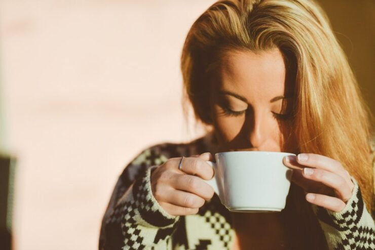 Vienna: 2.5-Hour Viennese Coffee, Cake, and Chocolate Tour - Activity Details