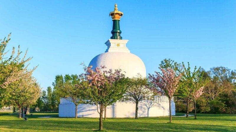 Vienna: 2-hour Danube Panorama Tour (Cruise Only) - The Experience According to Reviews