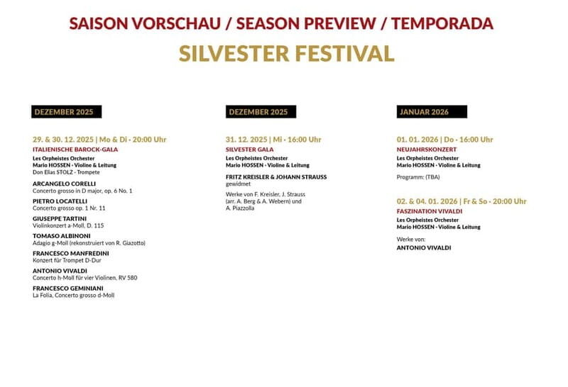 Vienna: Advent, Christmas and New Year's Concerts - Cost and Value