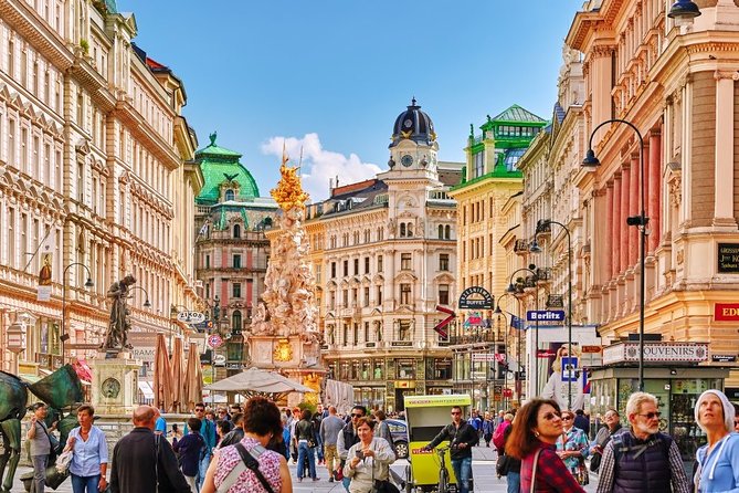 VIEnna Arrival Private Transfers From VIEnna Airport VIE to VIEnna City - Flexible Scheduling Options