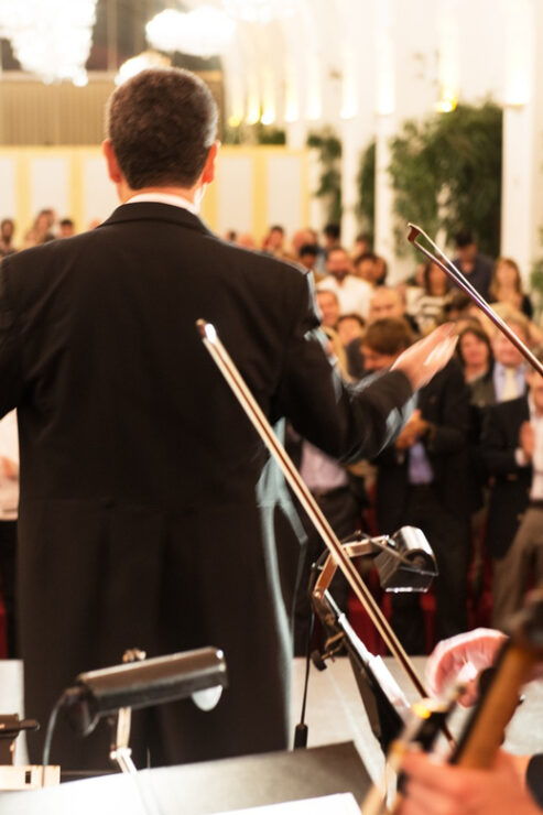 Vienna: Blue Danube Cruise, Dinner, and Concert Experience - Itinerary Details