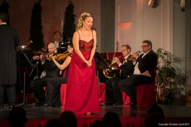Vienna: Blue Danube Cruise, Dinner, and Concert Experience - Dinner Menu