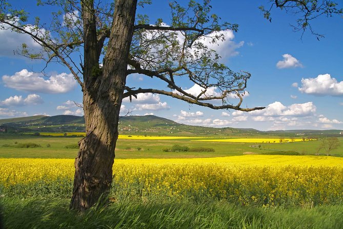 Vienna-Budapest One-Way Sightseeing Transfer - Hidden Gems of the Hungarian Countryside