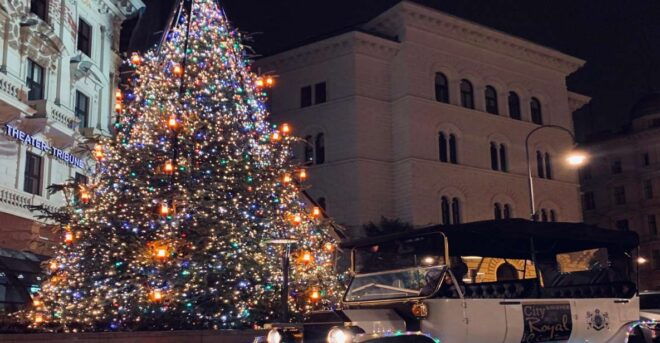 Vienna by Electric Elegance: Christmas Market Private Tour - Full Description