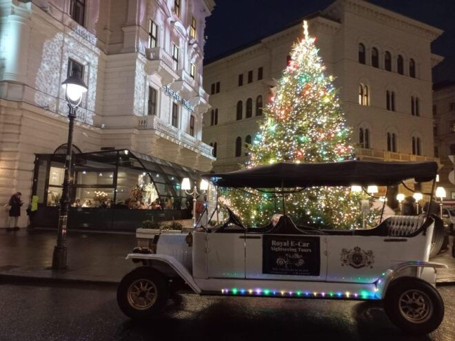 Vienna by Electric Elegance: Christmas Market Private Tour - Additional Information