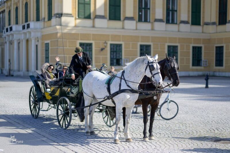 Vienna: Carriage Ride Through Schönbrunn Palace Gardens - Good To Know