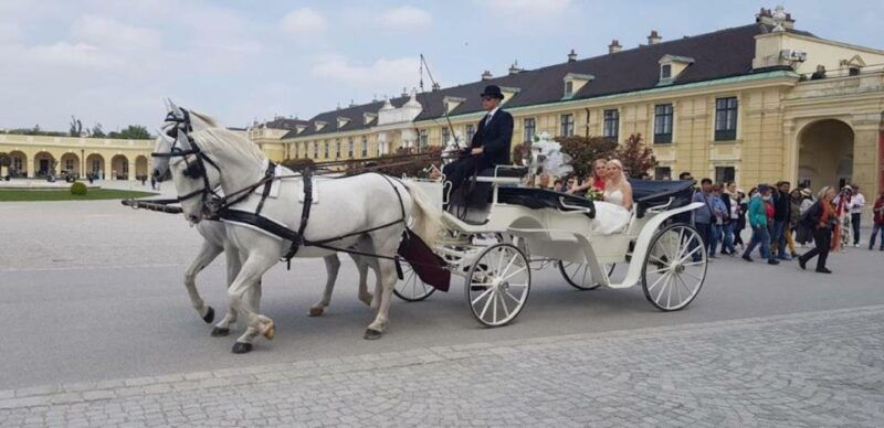 Vienna: Carriage Ride Through Schönbrunn Palace Gardens - What to Expect: The Itinerary and Highlights
