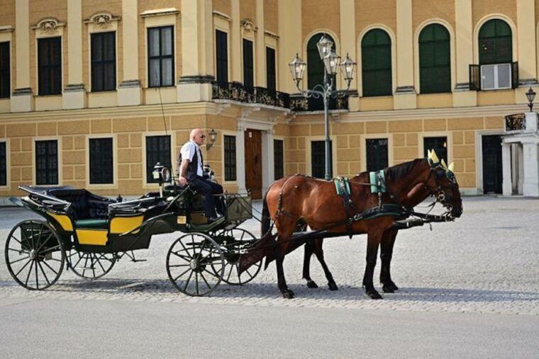 Vienna: Carriage Ride Through Schönbrunn Palace Gardens - Practical Details and Considerations