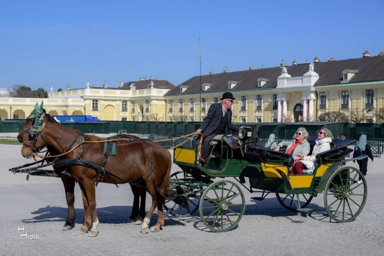 Vienna: Carriage Ride Through Schönbrunn Palace Gardens - Authentic Reviews: What Others Are Saying