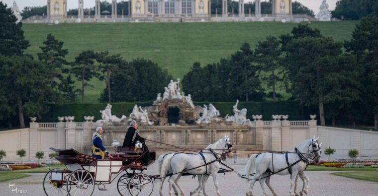 Vienna: Carriage Ride Through Schönbrunn Palace Gardens - Who Would Enjoy This Experience?