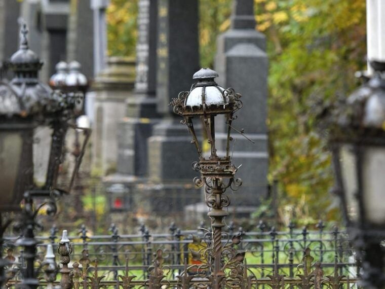Vienna: Central Cemetery, guided walking tour with fascinating secrets - Who Should Book This Tour?