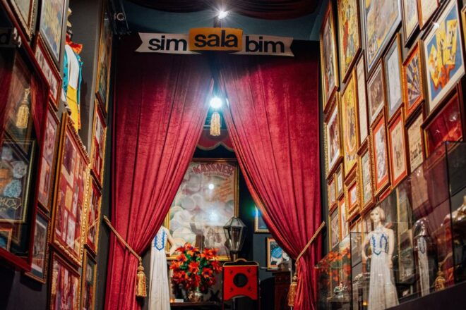 Vienna: Circus and Clown Museum Guided Tour Including Show - Museum Highlights