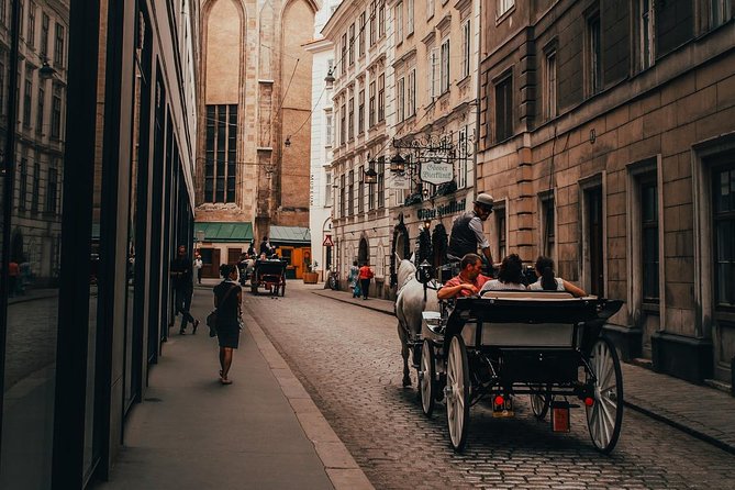 Vienna City Day Tour in Luxury Eco-Friendly Tesla - Meeting and Pickup